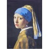 Gobelín tapiserie  - The Girl with the Pearl Earring by Vermeer